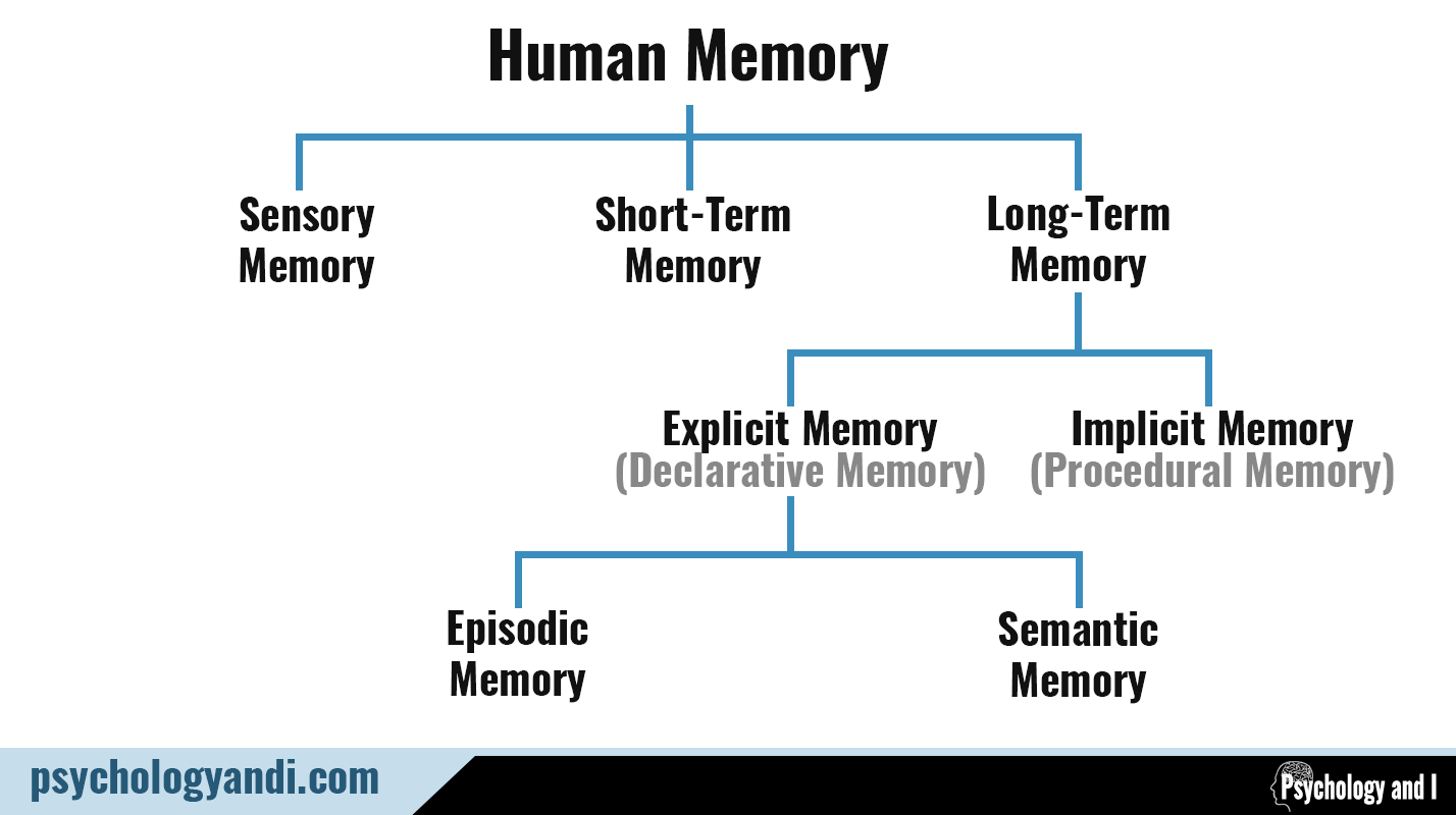 research on memory psychology